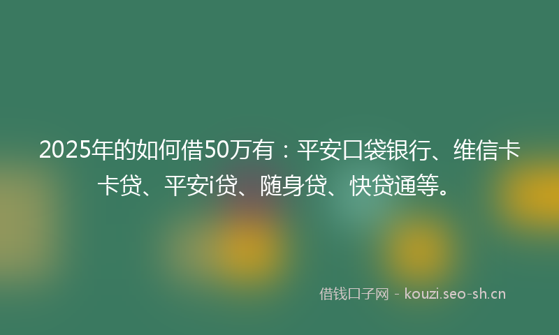 2025年的如何借50万有：平安口袋银行、维信卡卡贷、平安i贷、随身贷、快贷通等。