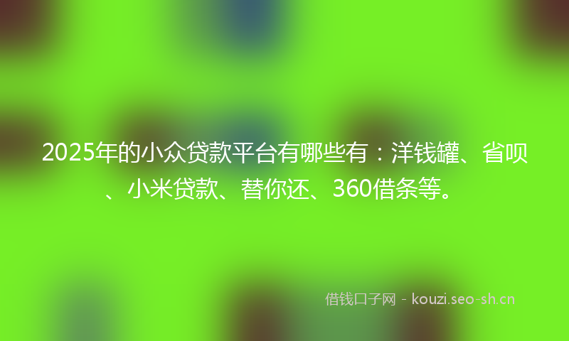 2025年的小众贷款平台有哪些有：洋钱罐、省呗、小米贷款、替你还、360借条等。