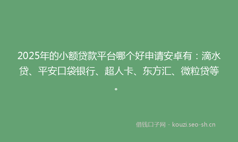 2025年的小额贷款平台哪个好申请安卓有：滴水贷、平安口袋银行、超人卡、东方汇、微粒贷等。