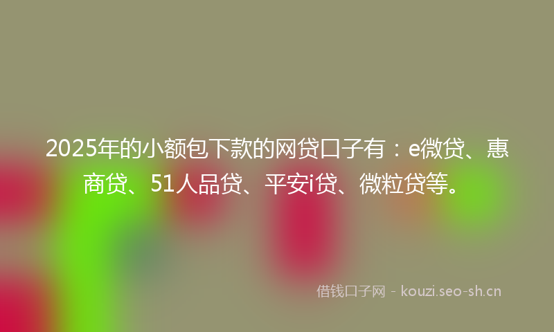 2025年的小额包下款的网贷口子有：e微贷、惠商贷、51人品贷、平安i贷、微粒贷等。