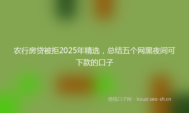 农行房贷被拒2025年精选,总结五个网黑夜间可下款的口子