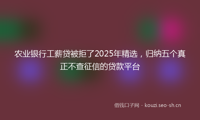 农业银行工薪贷被拒了2025年精选，归纳五个真正不查征信的贷款平台