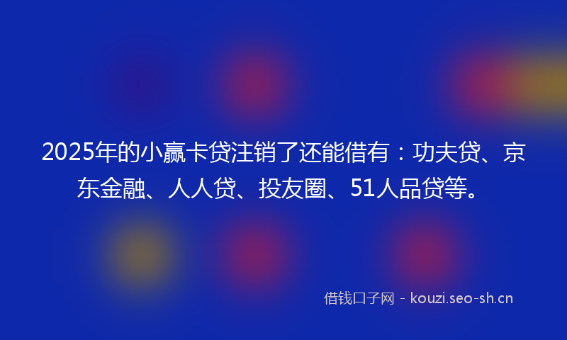 2025年的小赢卡贷注销了还能借有：功夫贷、京东金融、人人贷、投友圈、51人品贷等。