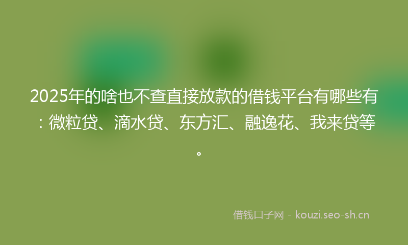 2025年的啥也不查直接放款的借钱平台有哪些有：微粒贷、滴水贷、东方汇、融逸花、我来贷等。