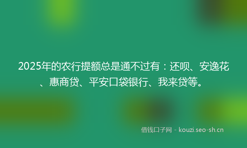 2025年的农行提额总是通不过有：还呗、安逸花、惠商贷、平安口袋银行、我来贷等。