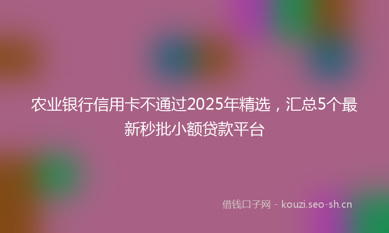 农业银行信用卡不通过2025年精选，汇总5个最新秒批小额贷款平台