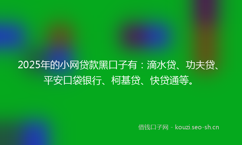 2025年的小网贷款黑口子有：滴水贷、功夫贷、平安口袋银行、柯基贷、快贷通等。