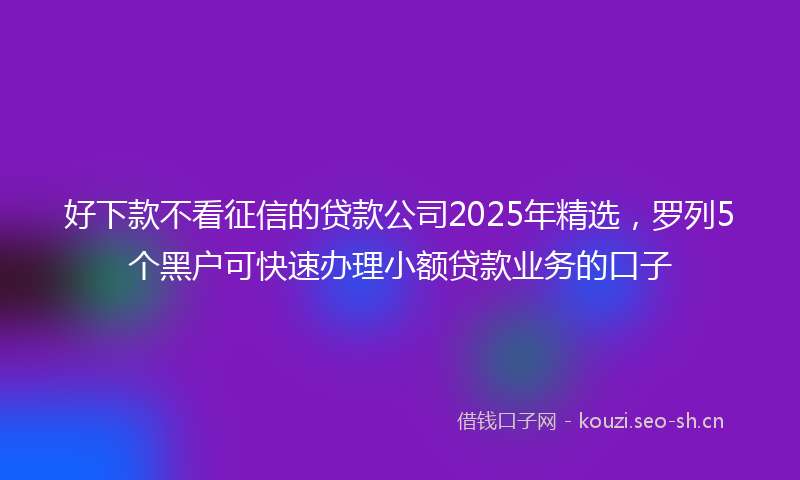 好下款不看征信的贷款公司2025年精选,罗列5个黑户可快速办理小额贷款业务的口子