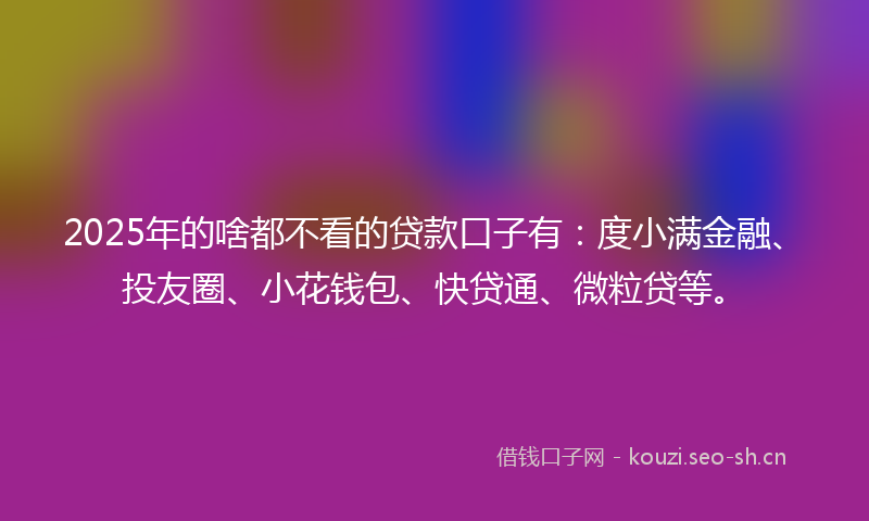 2025年的啥都不看的贷款口子有：度小满金融、投友圈、小花钱包、快贷通、微粒贷等。