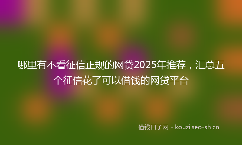 哪里有不看征信正规的网贷2025年推荐，汇总五个征信花了可以借钱的网贷平台