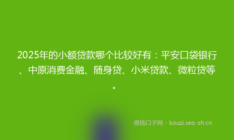 2025年的小额贷款哪个比较好有：平安口袋银行、中原消费金融、随身贷、小米贷款、微粒贷等。