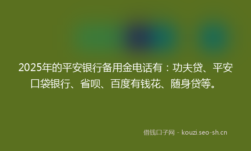 2025年的平安银行备用金电话有：功夫贷、平安口袋银行、省呗、百度有钱花、随身贷等。