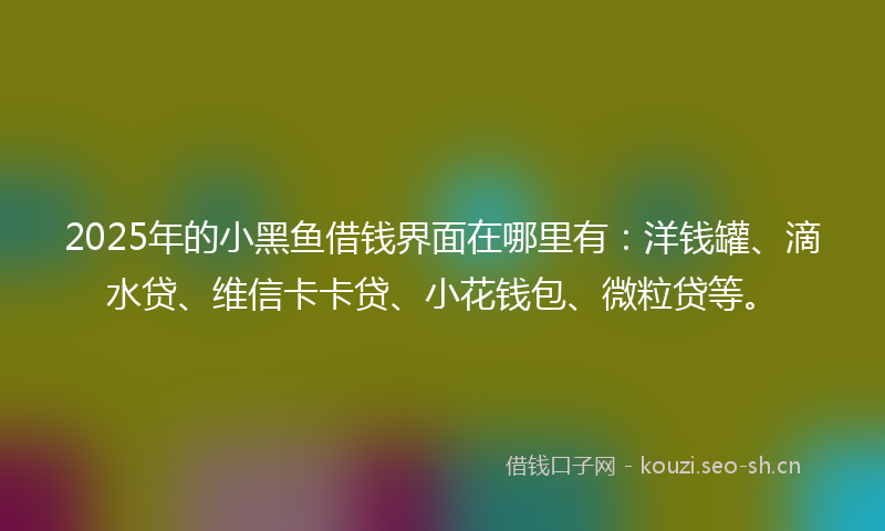 2025年的小黑鱼借钱界面在哪里有：洋钱罐、滴水贷、维信卡卡贷、小花钱包、微粒贷等。