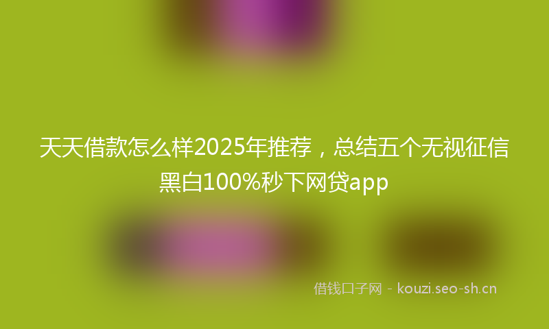 天天借款怎么样2025年推荐，总结五个无视征信黑白100%秒下网贷app