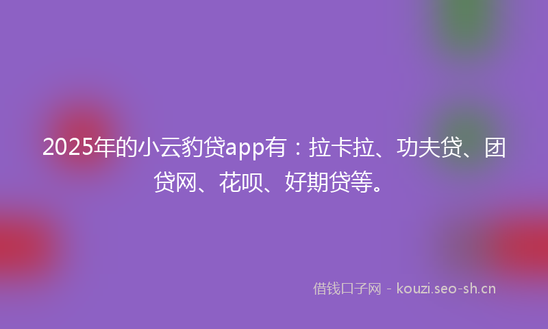 2025年的小云豹贷app有：拉卡拉、功夫贷、团贷网、花呗、好期贷等。