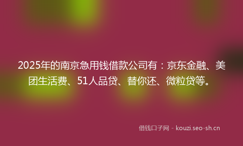 2025年的南京急用钱借款公司有：京东金融、美团生活费、51人品贷、替你还、微粒贷等。