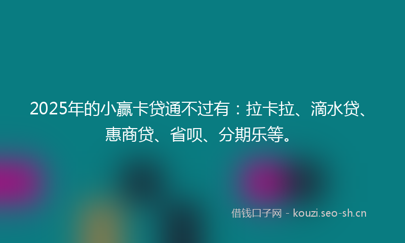 2025年的小赢卡贷通不过有：拉卡拉、滴水贷、惠商贷、省呗、分期乐等。