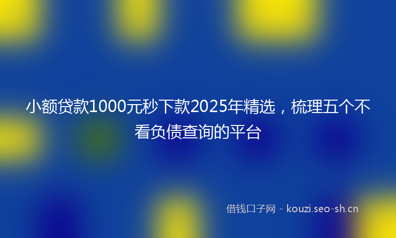 小额贷款1000元秒下款2025年精选，梳理五个不看负债查询的平台