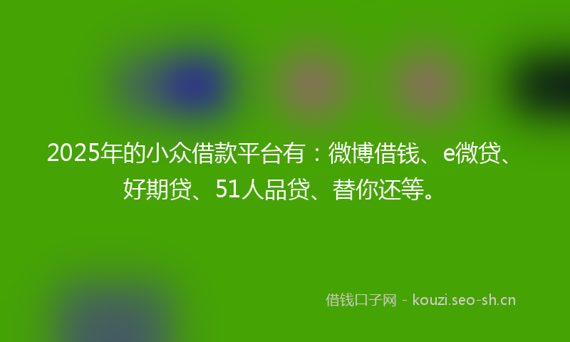2025年的小众借款平台有：微博借钱、e微贷、好期贷、51人品贷、替你还等。