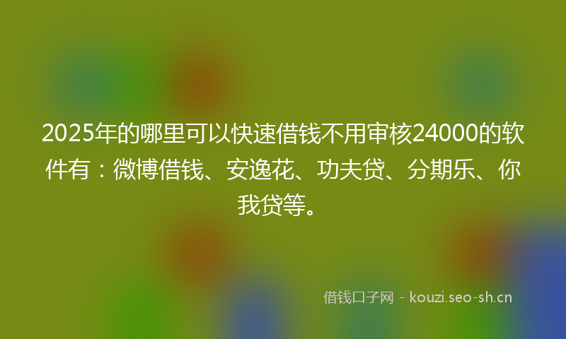 2025年的哪里可以快速借钱不用审核24000的软件有：微博借钱、安逸花、功夫贷、分期乐、你我贷等。