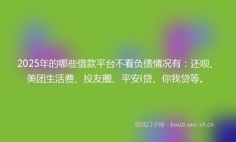 2025年的哪些借款平台不看负债情况有：还呗、美团生活费、投友圈、平安i贷、你我贷等。