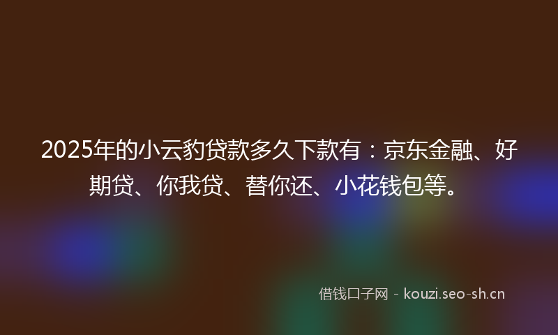 2025年的小云豹贷款多久下款有：京东金融、好期贷、你我贷、替你还、小花钱包等。