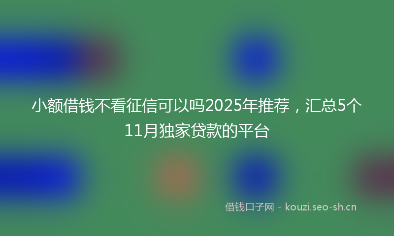 小额借钱不看征信可以吗2025年推荐，汇总5个11月独家贷款的平台