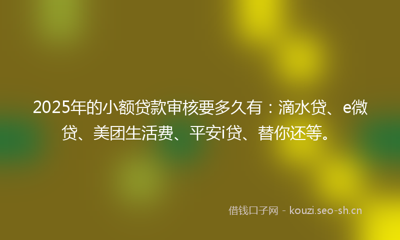 2025年的小额贷款审核要多久有：滴水贷、e微贷、美团生活费、平安i贷、替你还等。