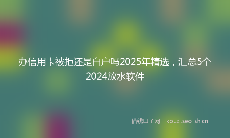 办信用卡被拒还是白户吗2025年精选，汇总5个2024放水软件