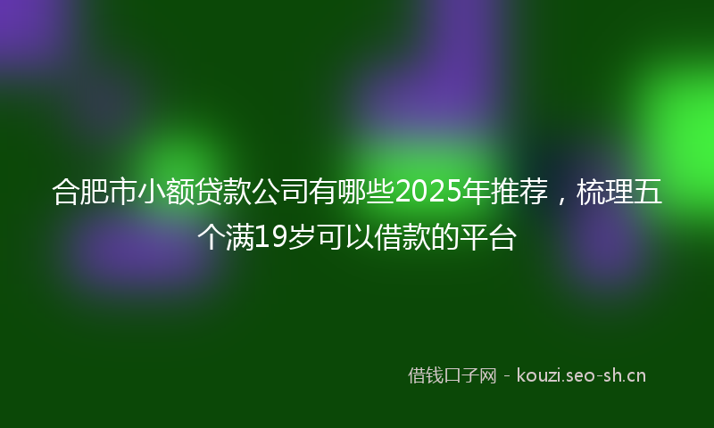 合肥市小额贷款公司有哪些2025年推荐，梳理五个满19岁可以借款的平台