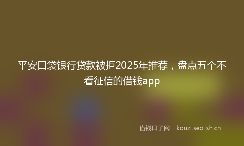 平安口袋银行贷款被拒2025年推荐，盘点五个不看征信的借钱app