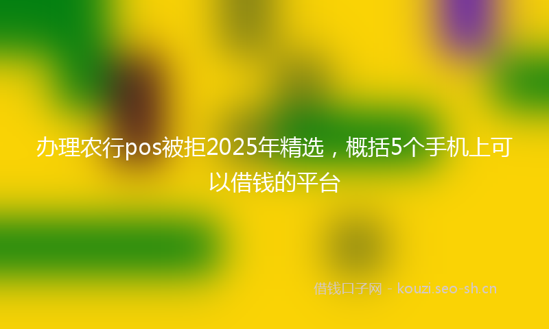 办理农行pos被拒2025年精选，概括5个手机上可以借钱的平台