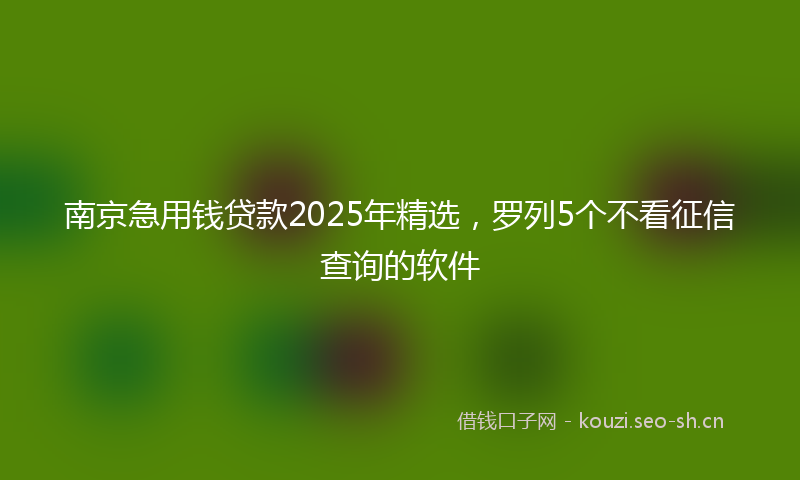 南京急用钱贷款2025年精选,罗列5个不看征信查询的软件