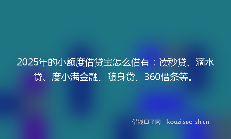 2025年的小额度借贷宝怎么借有：读秒贷、滴水贷、度小满金融、随身贷、360借条等。