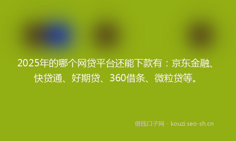 2025年的哪个网贷平台还能下款有：京东金融、快贷通、好期贷、360借条、微粒贷等。
