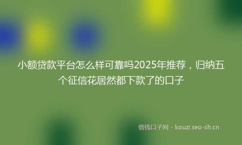 小额贷款平台怎么样可靠吗2025年推荐，归纳五个征信花居然都下款了的口子