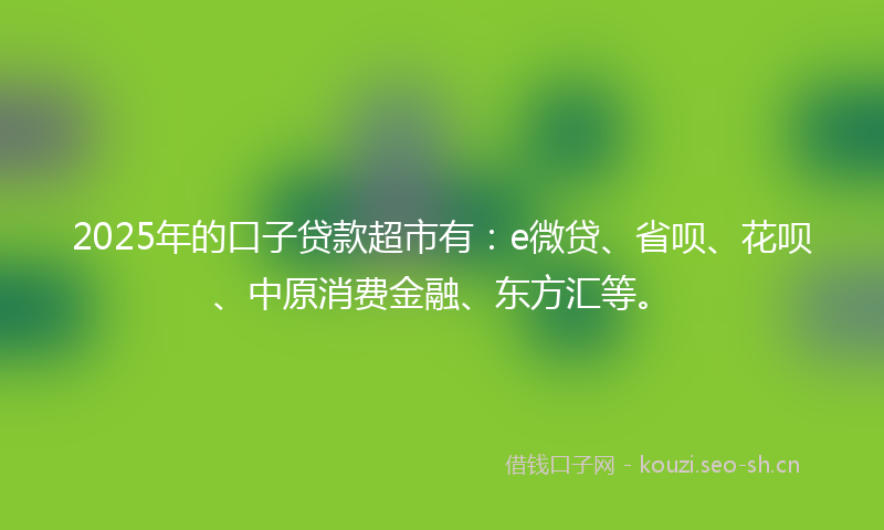 2025年的口子贷款超市有：e微贷、省呗、花呗、中原消费金融、东方汇等。