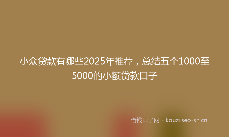 小众贷款有哪些2025年推荐，总结五个1000至5000的小额贷款口子