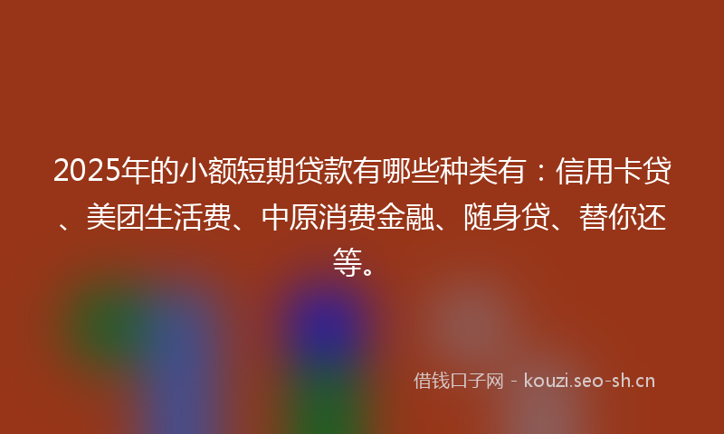 2025年的小额短期贷款有哪些种类有：信用卡贷、美团生活费、中原消费金融、随身贷、替你还等。