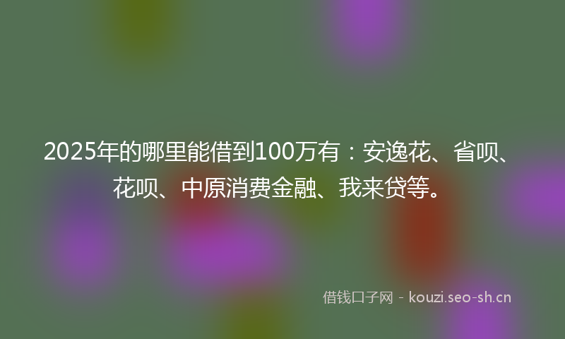 2025年的哪里能借到100万有：安逸花、省呗、花呗、中原消费金融、我来贷等。