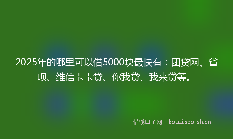 2025年的哪里可以借5000块最快有：团贷网、省呗、维信卡卡贷、你我贷、我来贷等。