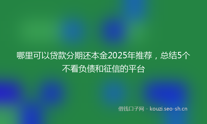 哪里可以贷款分期还本金2025年推荐，总结5个不看负债和征信的平台