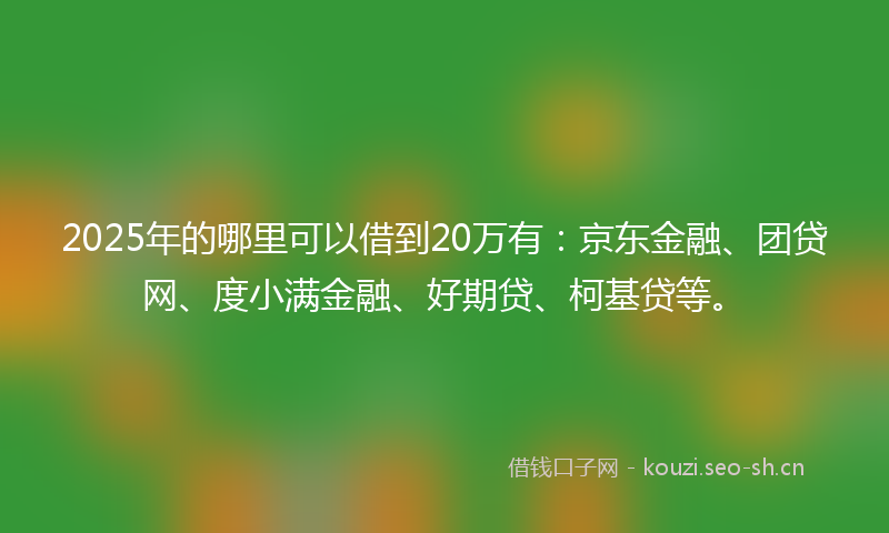 2025年的哪里可以借到20万有：京东金融、团贷网、度小满金融、好期贷、柯基贷等。
