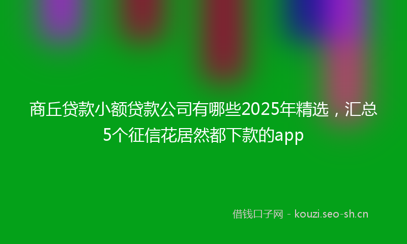 商丘贷款小额贷款公司有哪些2025年精选，汇总5个征信花居然都下款的app