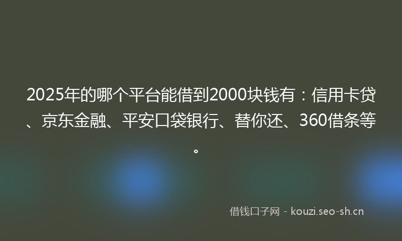 2025年的哪个平台能借到2000块钱有：信用卡贷、京东金融、平安口袋银行、替你还、360借条等。