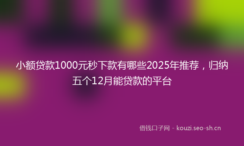 小额贷款1000元秒下款有哪些2025年推荐,归纳五个12月能贷款的平台