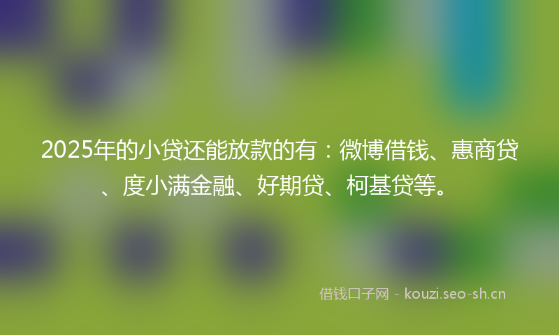2025年的小贷还能放款的有：微博借钱、惠商贷、度小满金融、好期贷、柯基贷等。