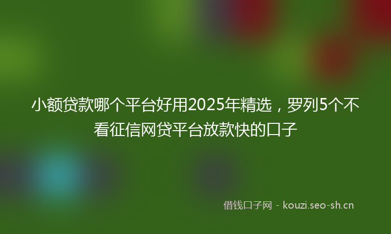 小额贷款哪个平台好用2025年精选，罗列5个不看征信网贷平台放款快的口子
