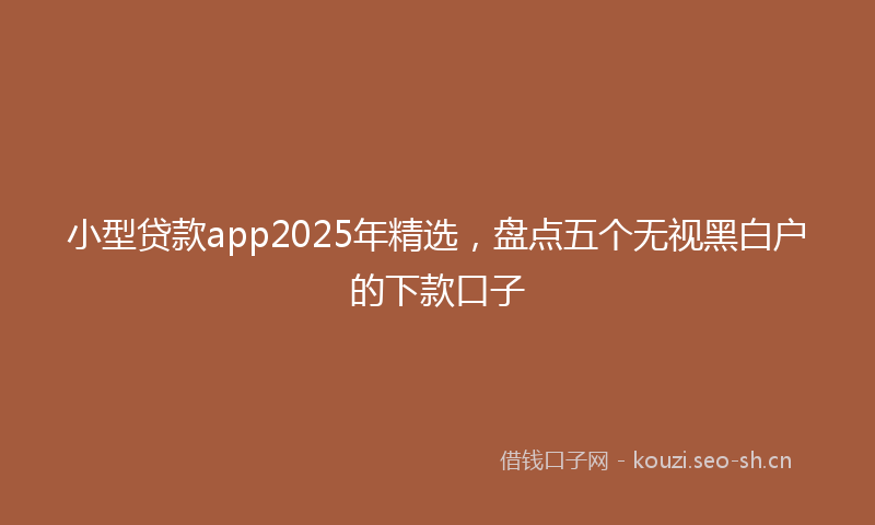小型贷款app2025年精选，盘点五个无视黑白户的下款口子