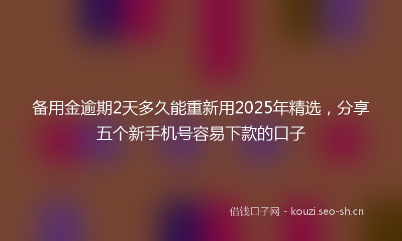 备用金逾期2天多久能重新用2025年精选，分享五个新手机号容易下款的口子